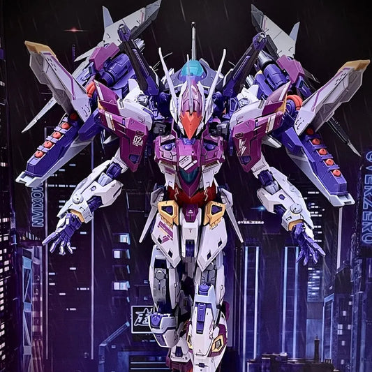 IN ERA + MG 1/100 THUNDERBOLT Cosmic Combat Robot RMD Assembly Model Kit Action Figure Plastic Toy Gift - Original Box