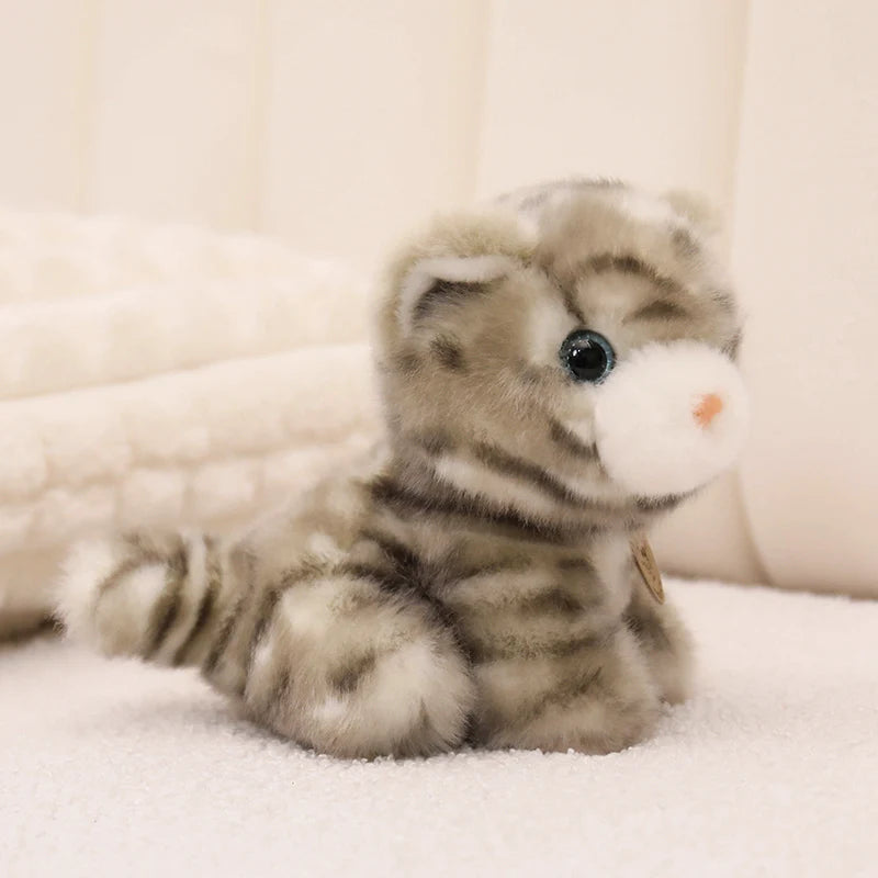 16cm Super Soft Baby Cats Plush Doll Adorable Small Tabby Cat Plushies Lifelike Cute Toy Kawaii Girl Boy Birthday Gift