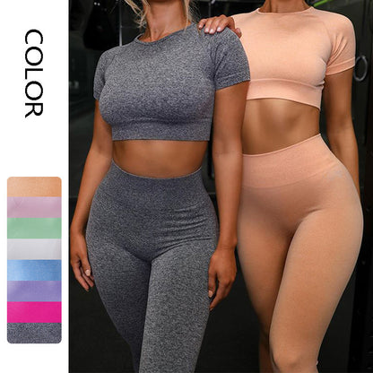 Seamless Yoga Sport Set for Women – Short Sleeve Top and Running Leggings Fitness Apparel