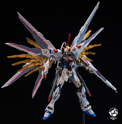 In Stock Minerva Hobby Head Carving STRIKE FREEDOM MG MGEX Assembly Model Kit Fate With Lamp Toy Mecha Model Head Toys Gifts