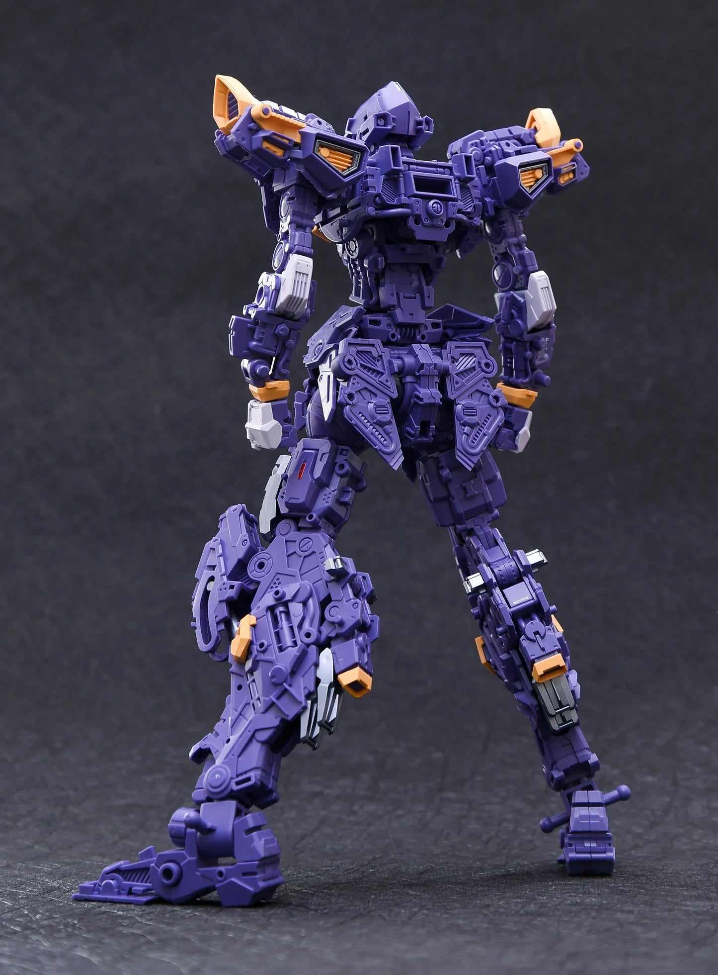 IN ERA MG 1/100 THUNDERBOLT Cosmic Combat Robot RMD Assembly Model Kit Action Figure Plastic Toy Gift