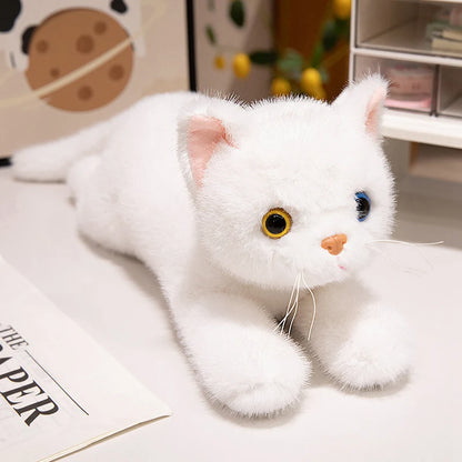 40/50cm British Shorthair Ragdoll Cat Plushies Soft Doll Lifelike Pet Calico Cat Adorable Birthday Gift For Girl Boy
