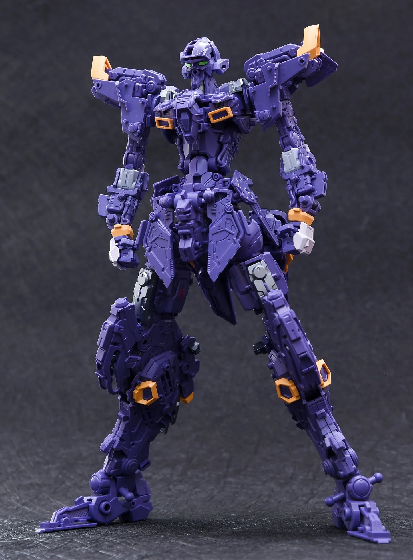 IN ERA MG 1/100 THUNDERBOLT Cosmic Combat Robot RMD Assembly Model Kit Action Figure Plastic Toy Gift