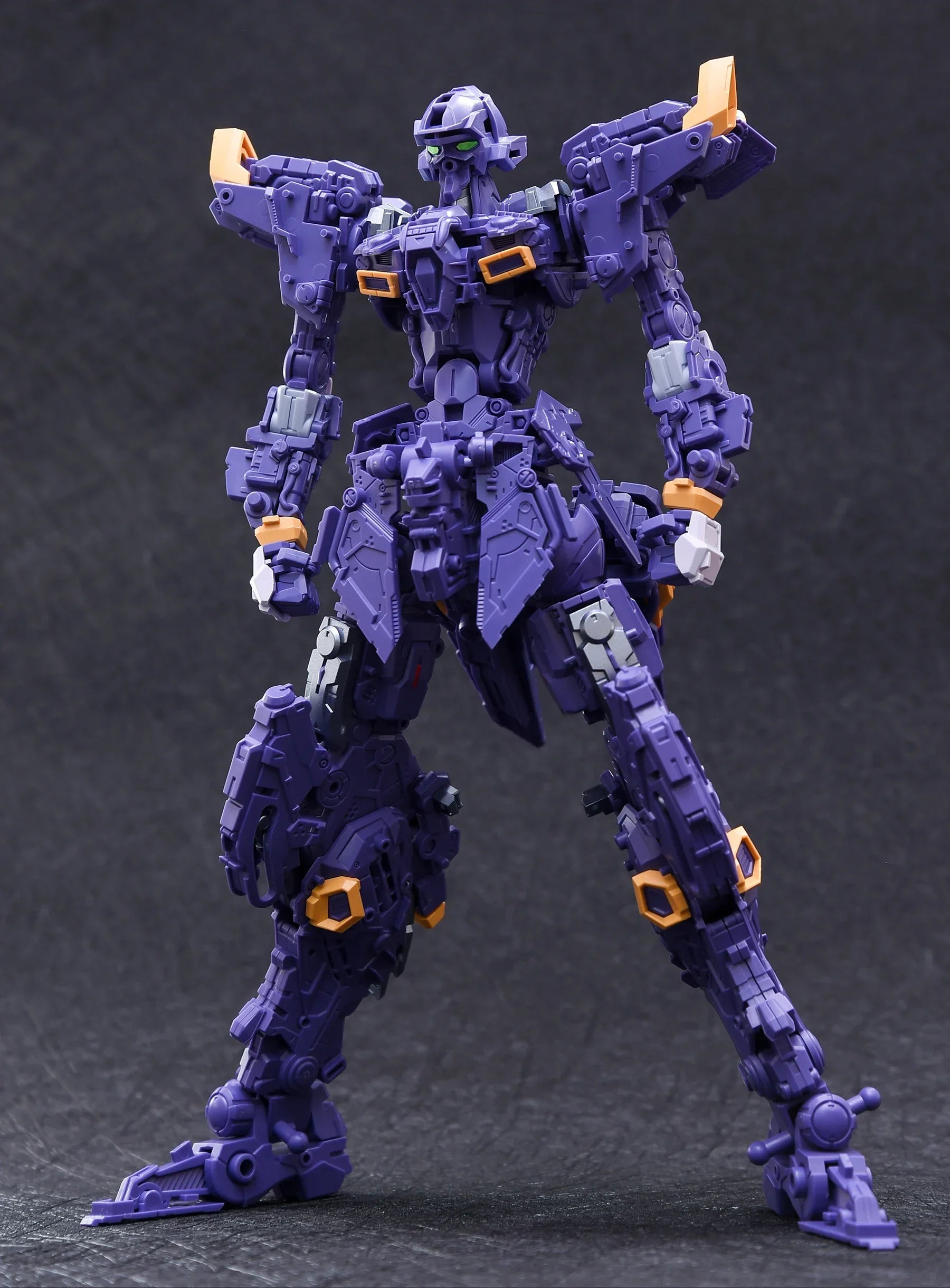 IN ERA MG 1/100 THUNDERBOLT Cosmic Combat Robot RMD Assembly Model Kit Action Figure Plastic Toy Gift