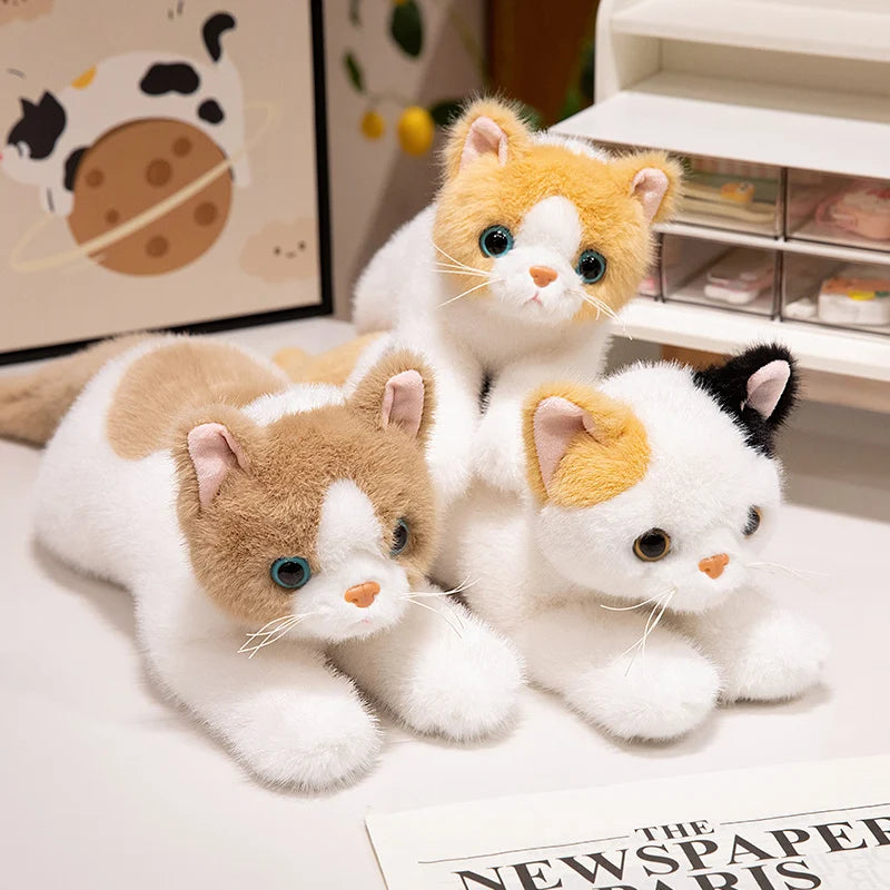 40/50cm British Shorthair Ragdoll Cat Plushies Soft Doll Lifelike Pet Calico Cat Adorable Birthday Gift For Girl Boy
