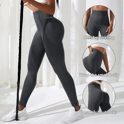 The Codex Women’s High Waist Seamless Gym Yoga Leggings Stretchy Athletic Fitness Pants