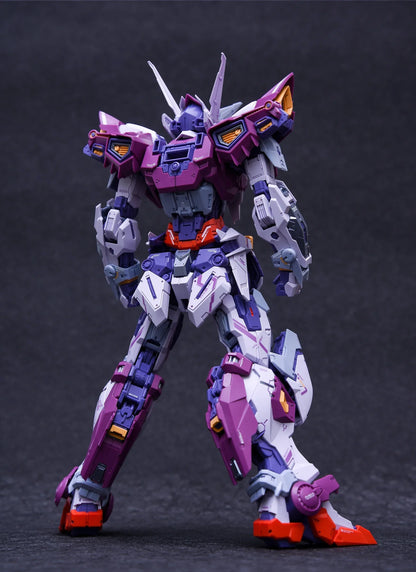 IN ERA MG 1/100 THUNDERBOLT Cosmic Combat Robot RMD Assembly Model Kit Action Figure Plastic Toy Gift