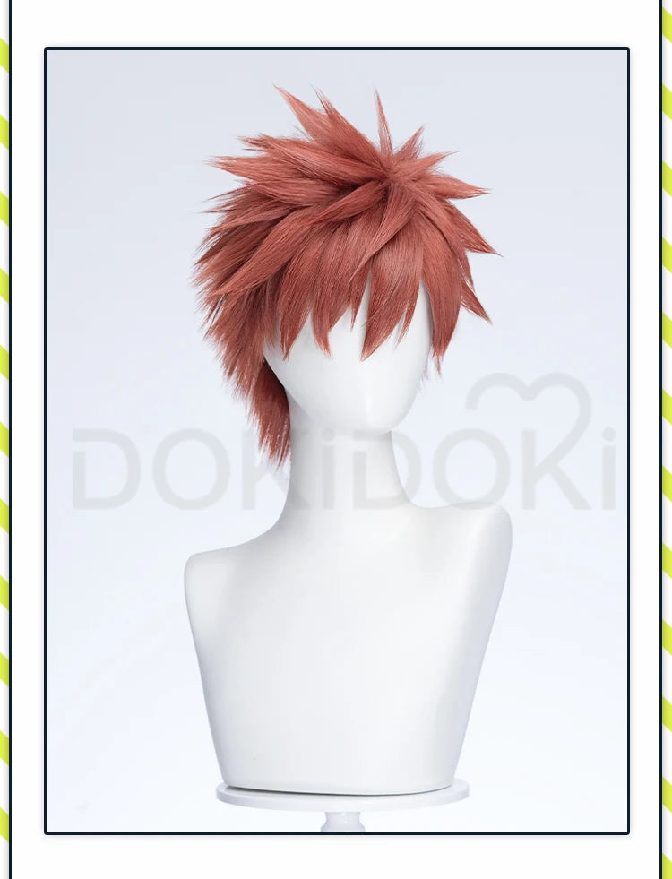 Rintarou Ayato Saku Shouhei Wig Anime The Fragrant Flower Blooms with Dignity DokiDoki Rintarou Cosplay