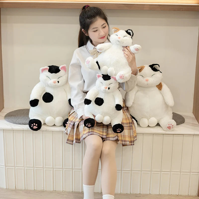 Swag Trick Big Balls Flower Cat Plush Toy Stuffed Japan Anime Figure Doll Lazy Fat Big Belly Cats Plushie For Boy Boyfriend Gift
