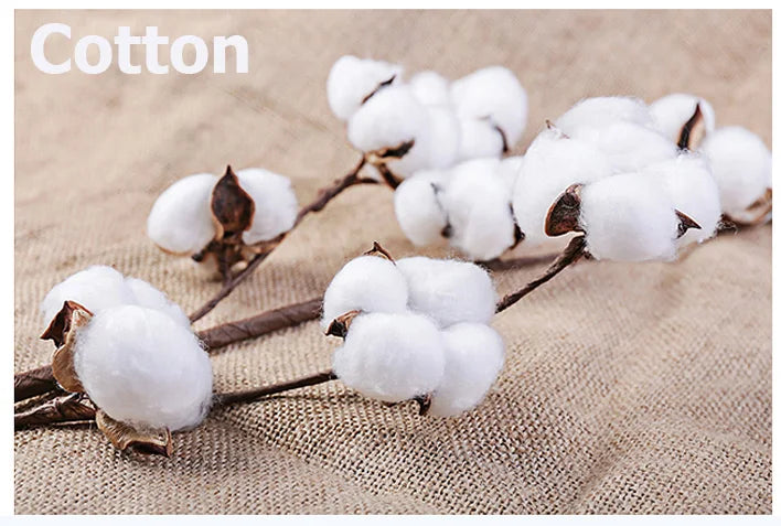 Boys Girls Sweater Cardigans 1 to 2 3 4 5 6 7 8 9 Years 2024 Cotton Baby Kids Sweaters Plain Knit Spring Autumn Children Clothes