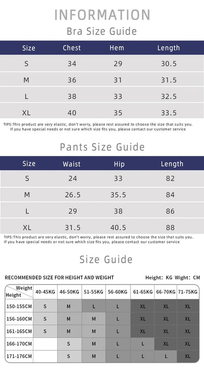 The Codex Seamless Yoga Leggings for Women – Athletic Gym Workout Fitness Pants Tights