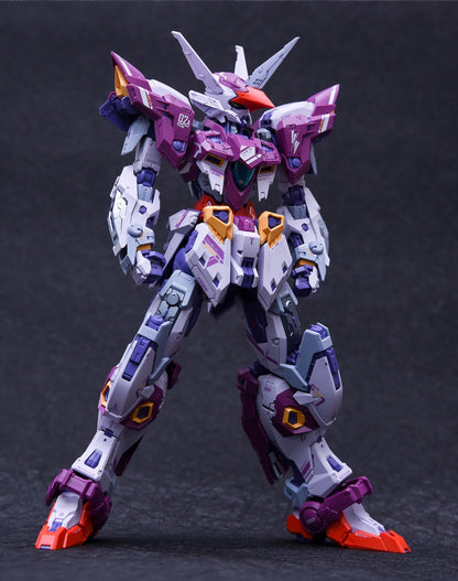 IN ERA MG 1/100 THUNDERBOLT Cosmic Combat Robot RMD Assembly Model Kit Action Figure Plastic Toy Gift