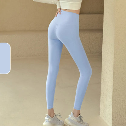 2025 Codex Seamless Yoga Leggings Women’s Sports Tights Gym Workout Fitness Pants Athletic Wear - Baby Blue / XL