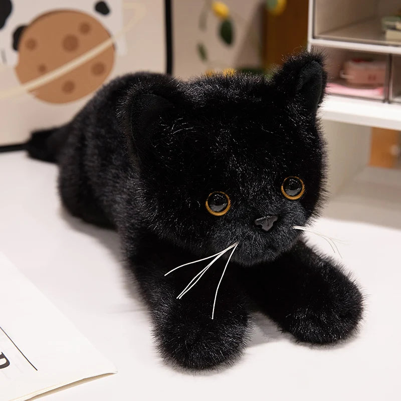 40/50cm British Shorthair Ragdoll Cat Plushies Soft Doll Lifelike Pet Calico Cat Adorable Birthday Gift For Girl Boy