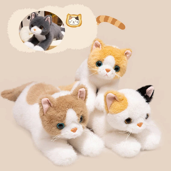 40/50cm British Shorthair Ragdoll Cat Plush Soft Lifelike Calico Doll Adorable Birthday Gift for Girls and Boys