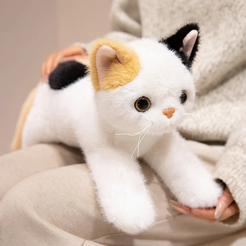 40/50cm British Shorthair Ragdoll Cat Plushies Soft Doll Lifelike Pet Calico Cat Adorable Birthday Gift For Girl Boy