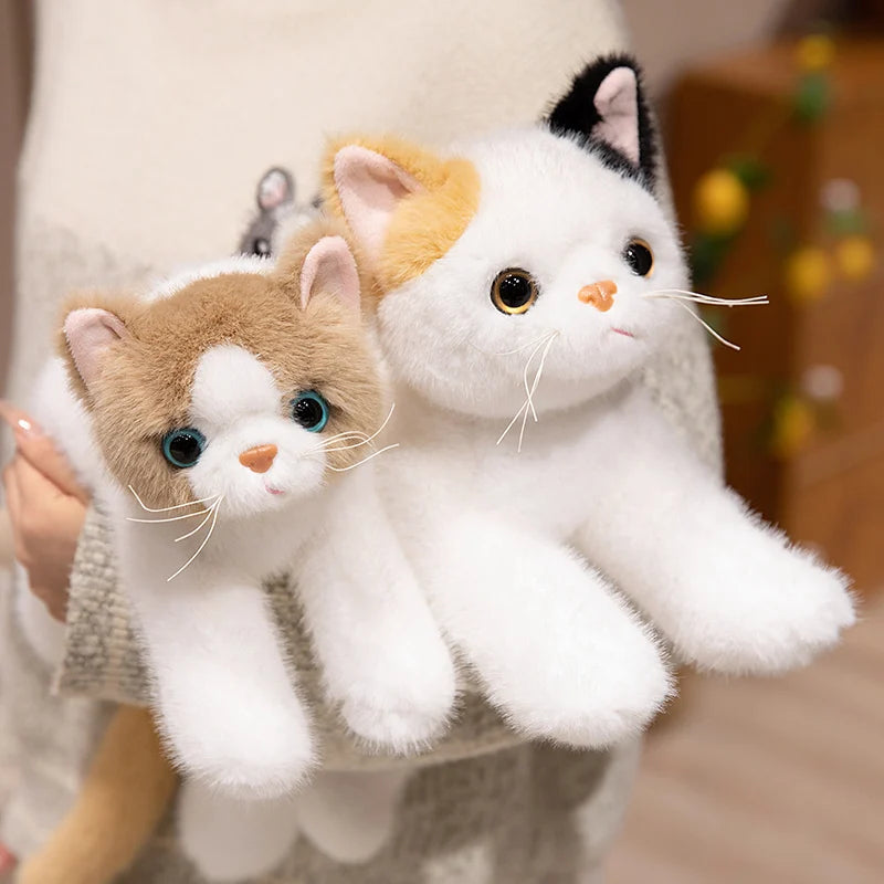 40/50cm British Shorthair Ragdoll Cat Plushies Soft Doll Lifelike Pet Calico Cat Adorable Birthday Gift For Girl Boy