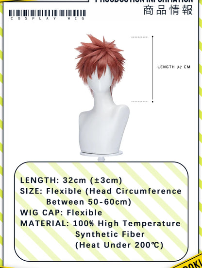 Rintarou Ayato Saku Shouhei Wig Anime The Fragrant Flower Blooms with Dignity DokiDoki Rintarou Cosplay
