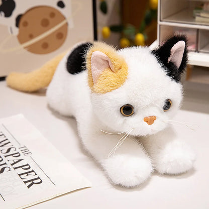 40/50cm British Shorthair Ragdoll Cat Plushies Soft Doll Lifelike Pet Calico Cat Adorable Birthday Gift For Girl Boy