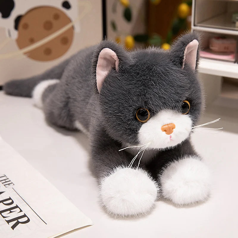 40/50cm British Shorthair Ragdoll Cat Plushies Soft Doll Lifelike Pet Calico Cat Adorable Birthday Gift For Girl Boy