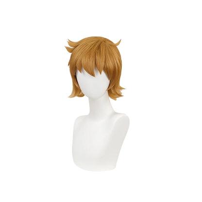 IN STOCK Scott Pilgrim Wig Anime Scott Pilgrim Takes Off Cosplay Wig DokiDoki Men 30cm Short Hair Scott Pilgrim Cosplay Free Cap