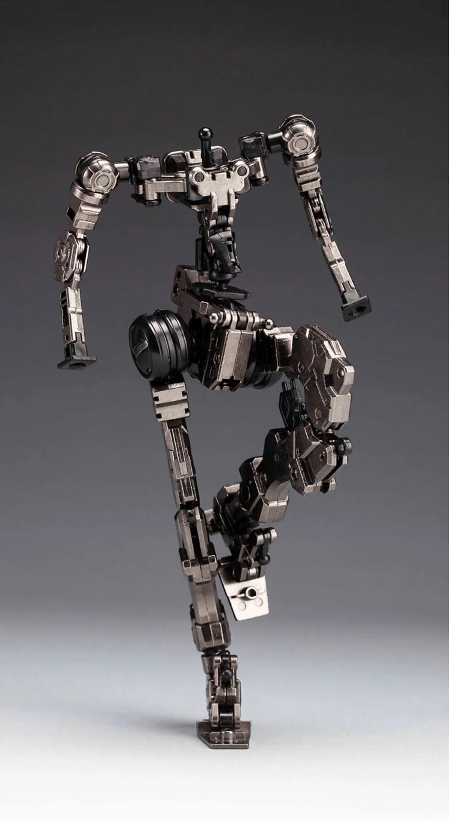 YANMIE Alloy Skeleton Assembly Model Kit 1/100 ABS