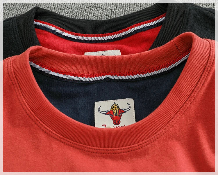 Autumn New American Retro Long-sleeved O-neck Letter Printed T-shirt Men's Fashion Simple 100% Cotton Washed Casual Sport Tops