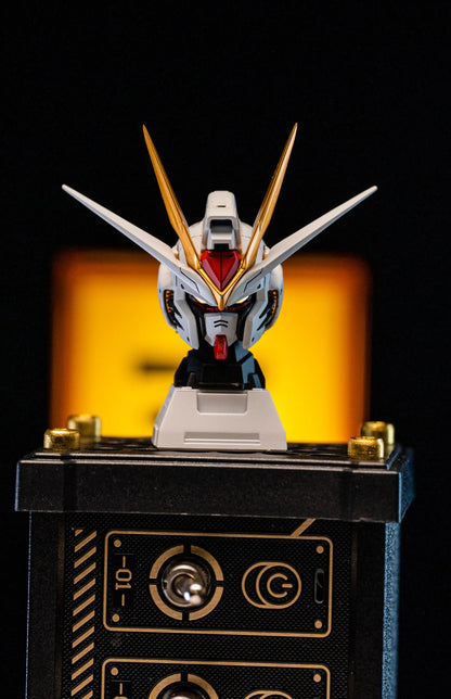 In Stock Minerva Hobby STRIKE FREEDOM Head Carving MG MGEX Assembly Model Kit Midnight With Lamp Toy Mecha Model Head Toys Gifts