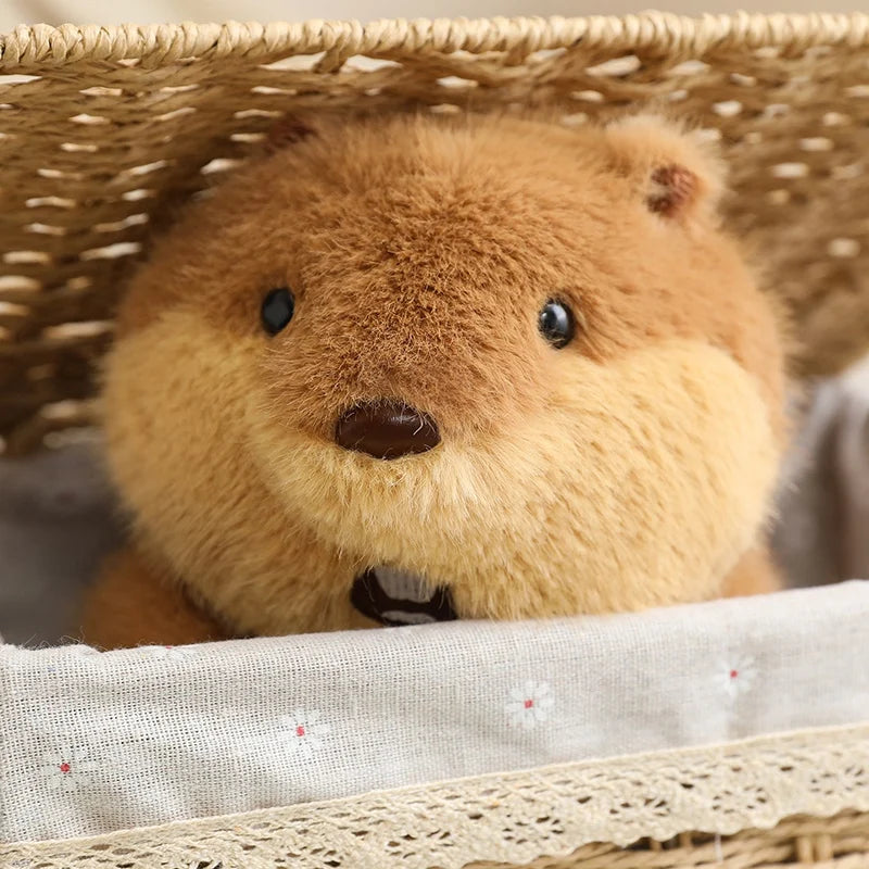 22cm Holding Nut Groundhog Plushies Cute Cartoon Marmot Soft Toy Tubby Animal Plush Groundhog For Girl Boy Present