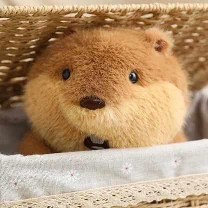 22cm Holding Nut Groundhog Plushies Cute Cartoon Marmot Soft Toy Tubby Animal Plush Groundhog For Girl Boy Present
