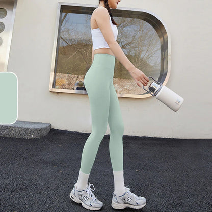 2025 Codex Seamless Yoga Leggings Women’s Sports Tights Gym Workout Fitness Pants Athletic Wear - Matcha Green / XL