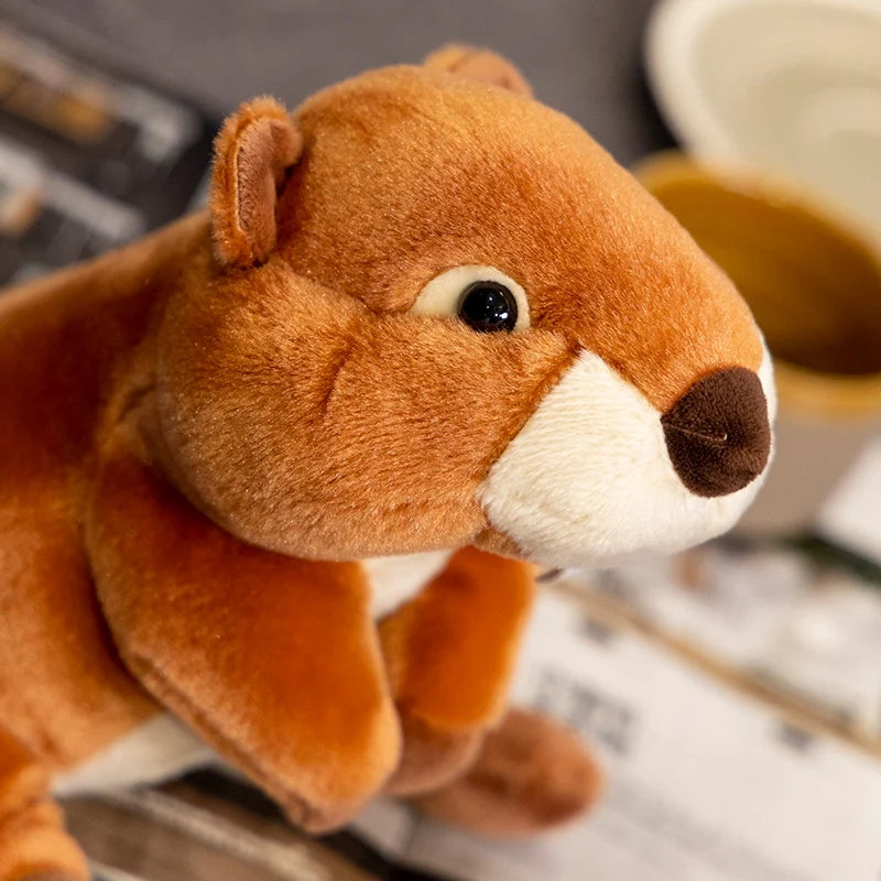22cm Cute Silly Animal Marmot Plush Toy Soft Stuffed Marmota Plushies Lovely Beaver Doll Gift For Girl Boy Birthday