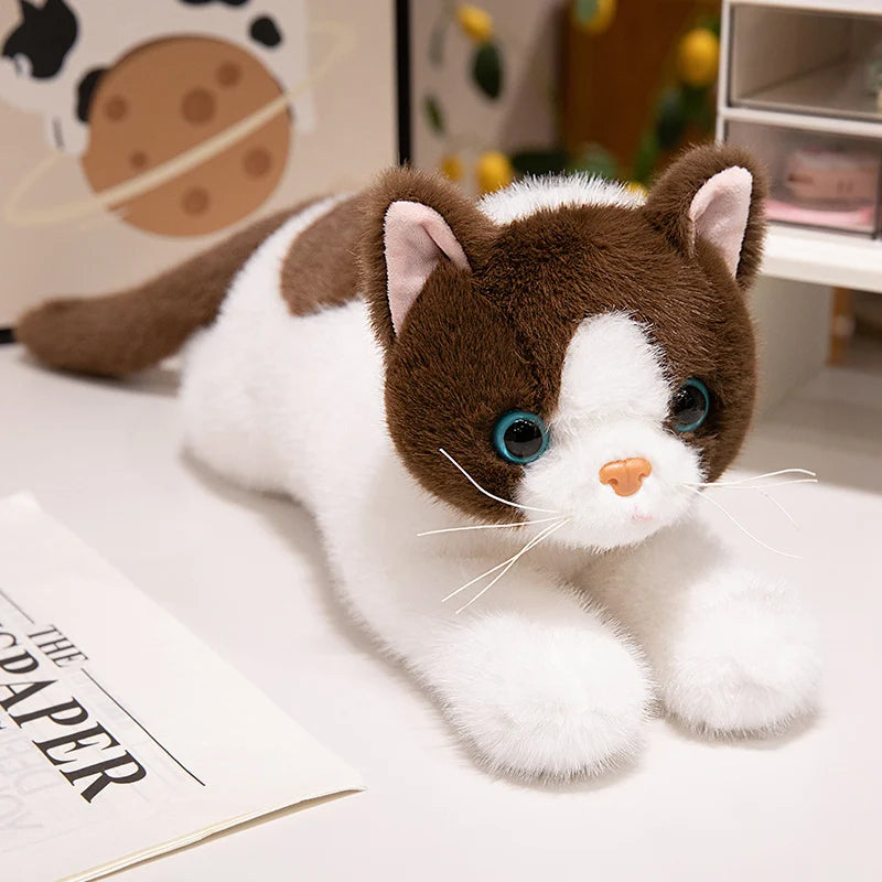 40/50cm British Shorthair Ragdoll Cat Plushies Soft Doll Lifelike Pet Calico Cat Adorable Birthday Gift For Girl Boy