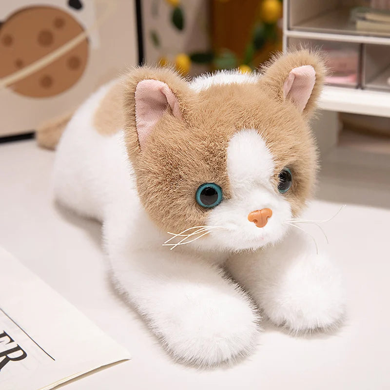 40/50cm British Shorthair Ragdoll Cat Plushies Soft Doll Lifelike Pet Calico Cat Adorable Birthday Gift For Girl Boy