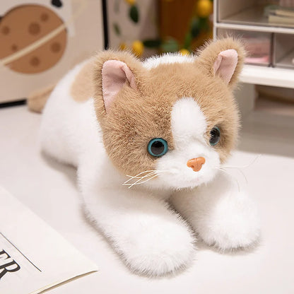 40/50cm British Shorthair Ragdoll Cat Plushies Soft Doll Lifelike Pet Calico Cat Adorable Birthday Gift For Girl Boy