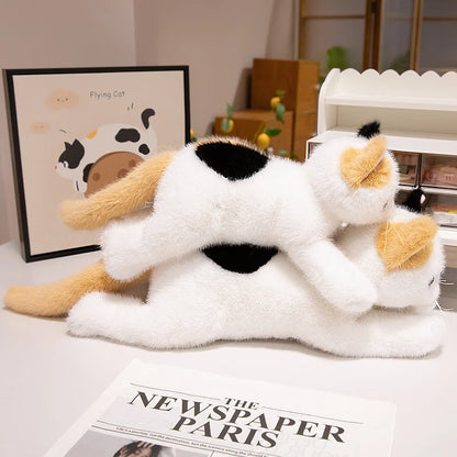 40/50cm British Shorthair Ragdoll Cat Plushies Soft Doll Lifelike Pet Calico Cat Adorable Birthday Gift For Girl Boy