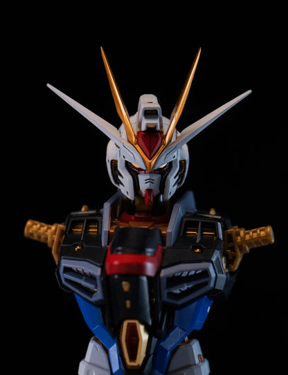 In Stock Minerva Hobby Head Carving STRIKE FREEDOM MG MGEX Assembly Model Kit Fate With Lamp Toy Mecha Model Head Toys Gifts